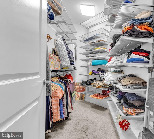 444 W Broad St Unit 407, Falls Church, VA 22046 - walk in closet featuring carpet floors