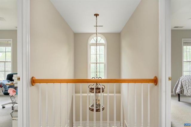 2364 N Chesterfield Ct, Charlottesville, VA 22911 - detailed view of carpet