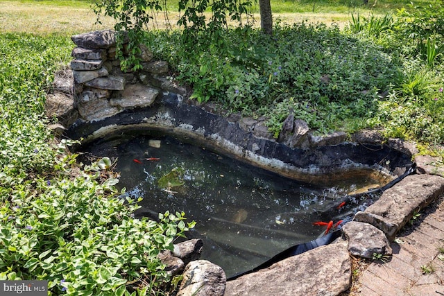 details featuring a garden pond