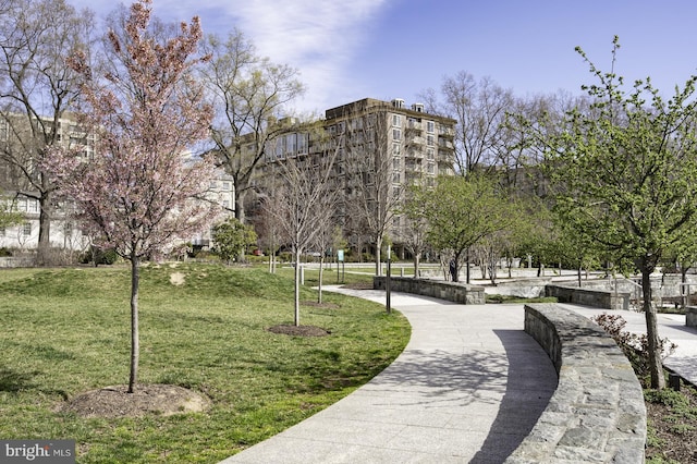 1309 4th St SW, Washington, DC 20024 - surrounding community featuring a lawn