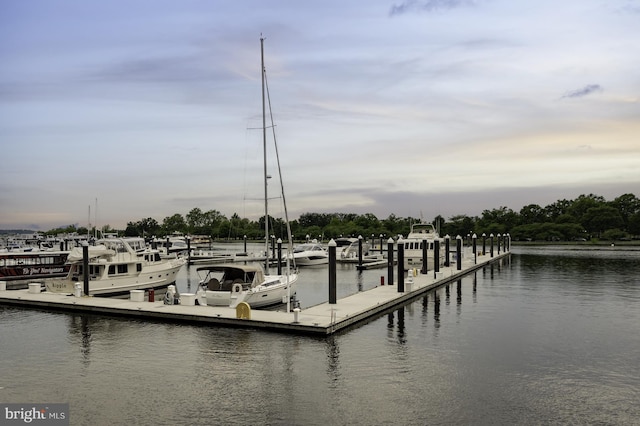 1309 4th St SW, Washington, DC 20024 - dock area with a water view