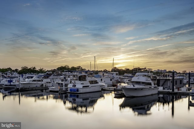 1309 4th St SW, Washington, DC 20024 - dock with view of marina and a water view