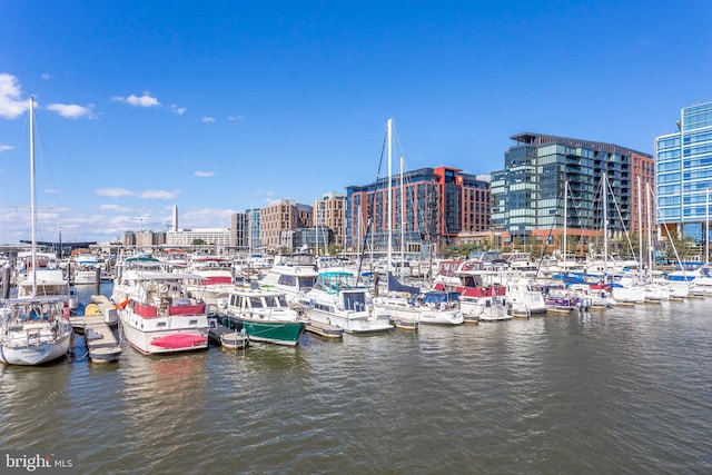1309 4th St SW, Washington, DC 20024 - dock featuring a water view