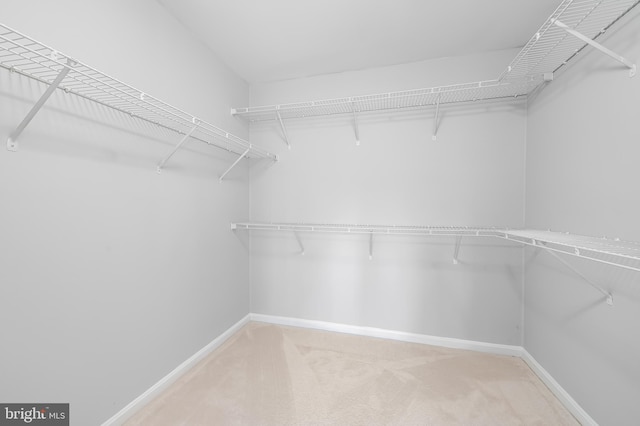 walk in closet with carpet