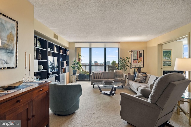 1101 S Arlington Ridge Rd Unit 1107, Arlington, VA 22202 - living area with a textured ceiling and carpet floors