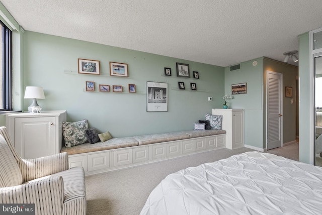 1101 S Arlington Ridge Rd Unit 1107, Arlington, VA 22202 - carpeted bedroom with a textured ceiling