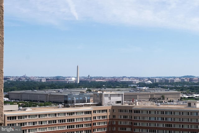 1101 S Arlington Ridge Rd Unit 1107, Arlington, VA 22202 - city view