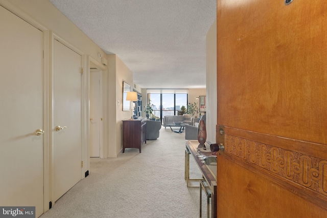 1101 S Arlington Ridge Rd Unit 1107, Arlington, VA 22202 - hall featuring light colored carpet, a wall of windows, and a textured ceiling