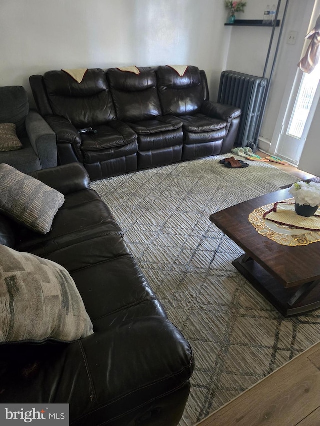 living room featuring radiator