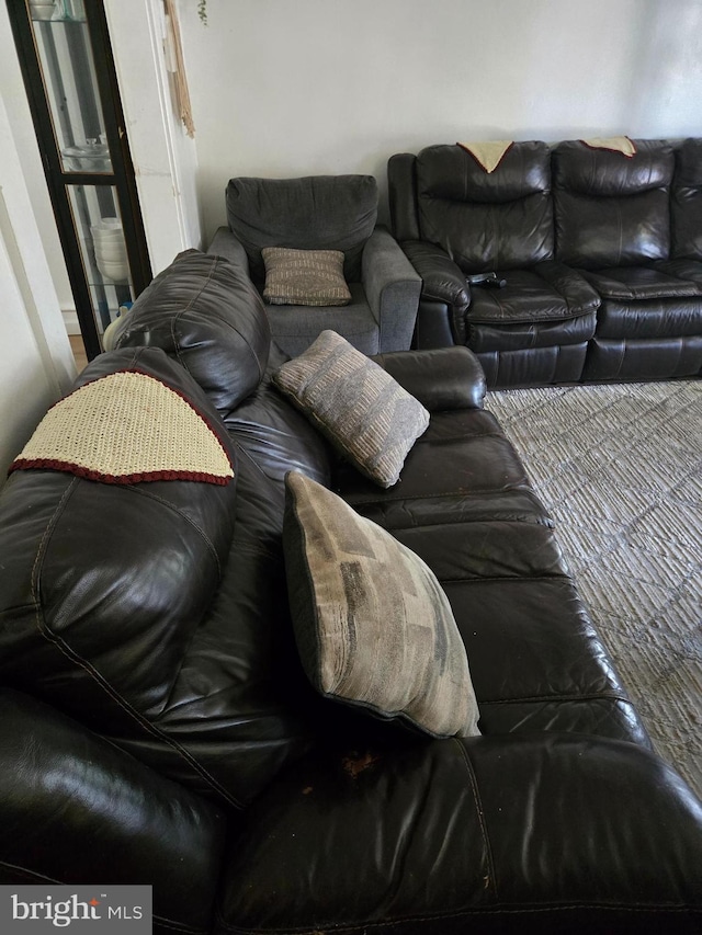 living room with carpet flooring