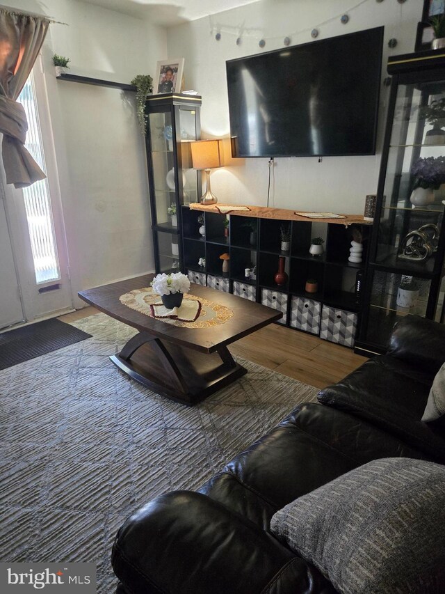 living area featuring wood finished floors