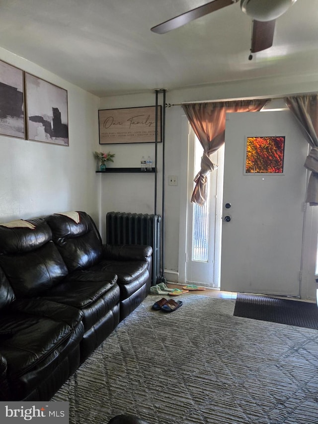 living room with radiator heating unit