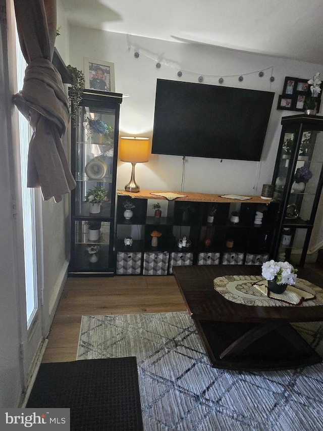 living area featuring wood finished floors