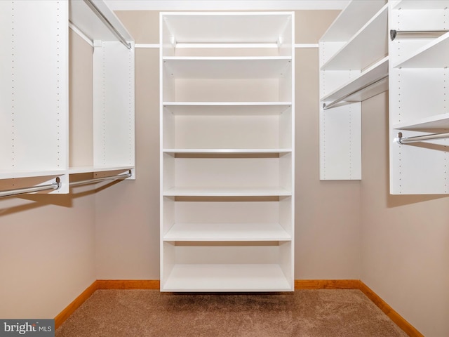 9203 Oak Tree Cir, Frederick, MD 21701 - walk in closet featuring carpet
