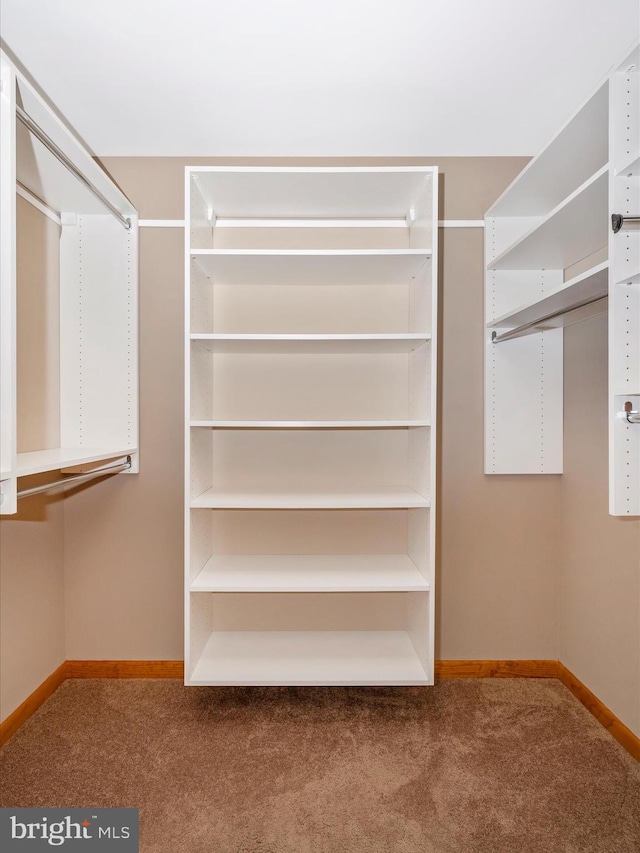 9203 Oak Tree Cir, Frederick, MD 21701 - spacious closet with carpet flooring