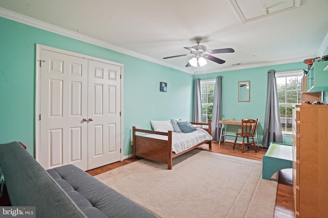 bedroom featuring crown molding, attic access, a closet, and wood finished floors
