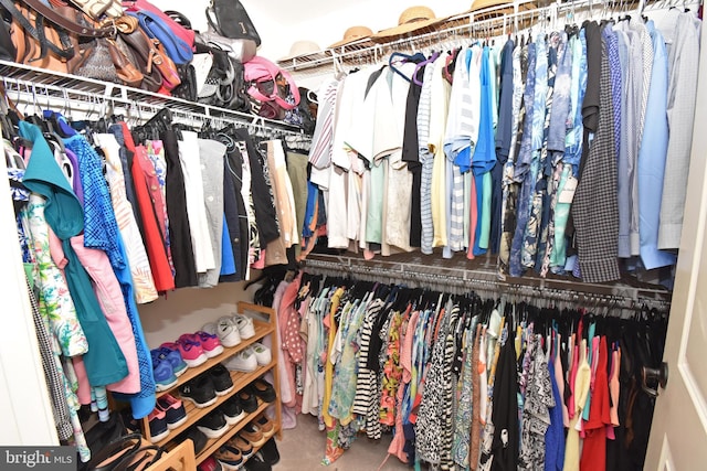 view of spacious closet
