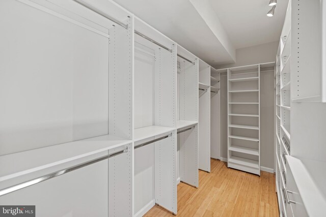 walk in closet with light wood finished floors