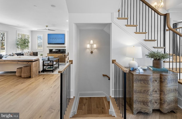 76 Filly Ln, Lewes, DE 19958 - stairs with a ceiling fan, wood finished floors, baseboards, a glass covered fireplace, and recessed lighting