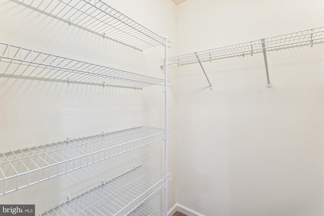 8210 Heritage Crossing Ct, Manassas, VA 20109 - view of walk in closet
