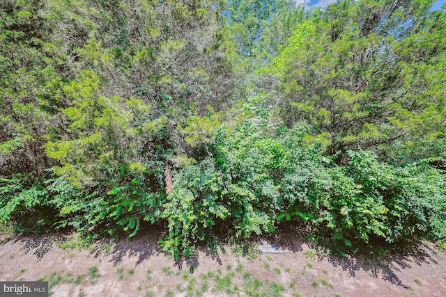8210 Heritage Crossing Ct, Manassas, VA 20109 - view of undeveloped land