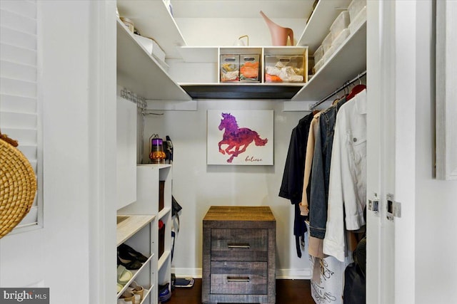 9701 Fields Rd Unit 2301, Gaithersburg, MD 20878 - view of walk in closet