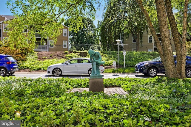 9701 Fields Rd Unit 2301, Gaithersburg, MD 20878 - view of yard