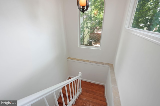 stairs featuring wood finished floors