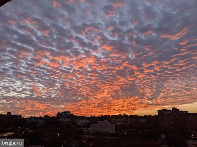 200 N Pickett St Unit 1412, Alexandria, VA 22304 - view of mountain feature with a view of city