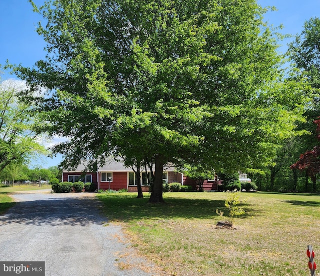 view of front of home featuring driveway and a front lawn