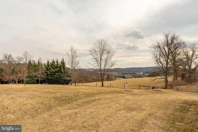 view of yard with a rural view