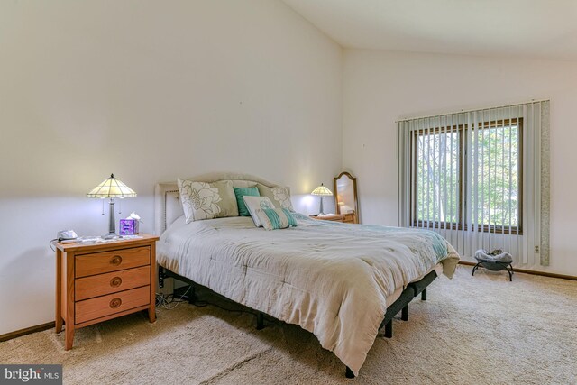 bedroom featuring baseboards, carpet, and lofted ceiling