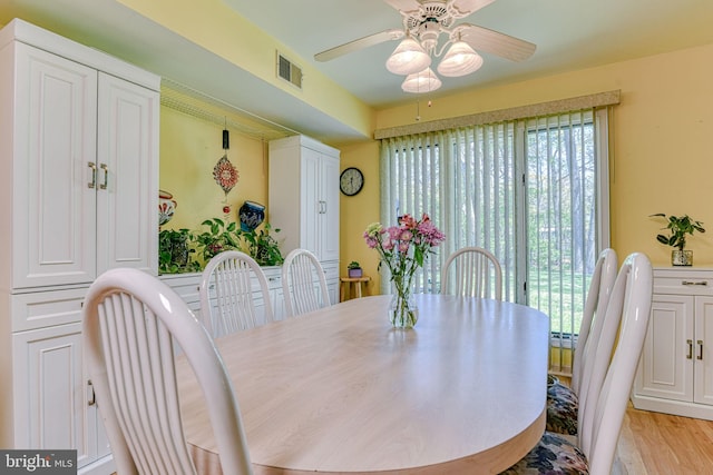 dining area featuring visible vents, a ceiling fan, and light wood-style floors