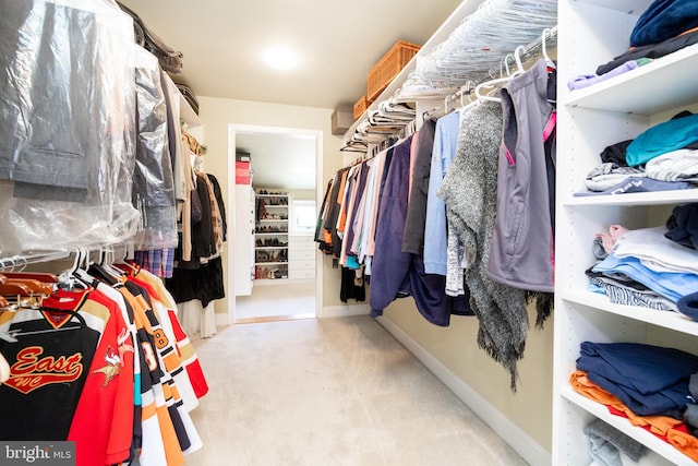 spacious closet with carpet floors