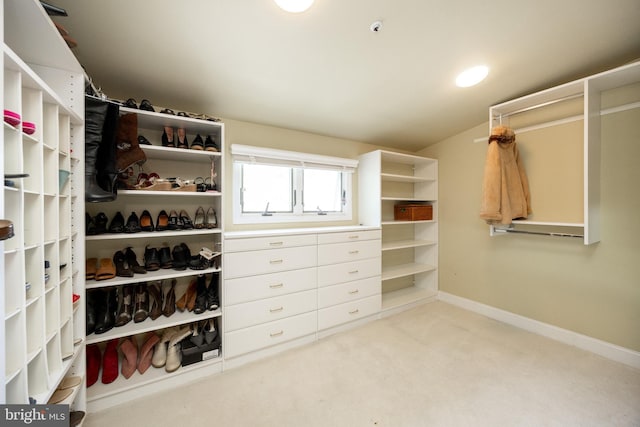 spacious closet featuring carpet