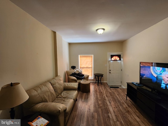 living area featuring dark wood finished floors