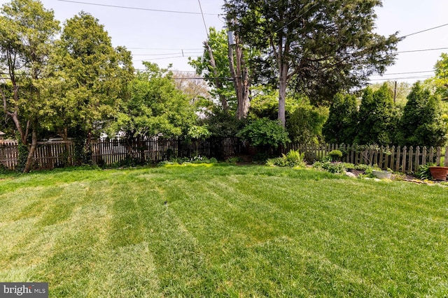 view of yard featuring a fenced backyard