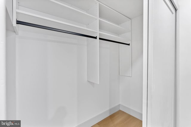 walk in closet with light wood-type flooring