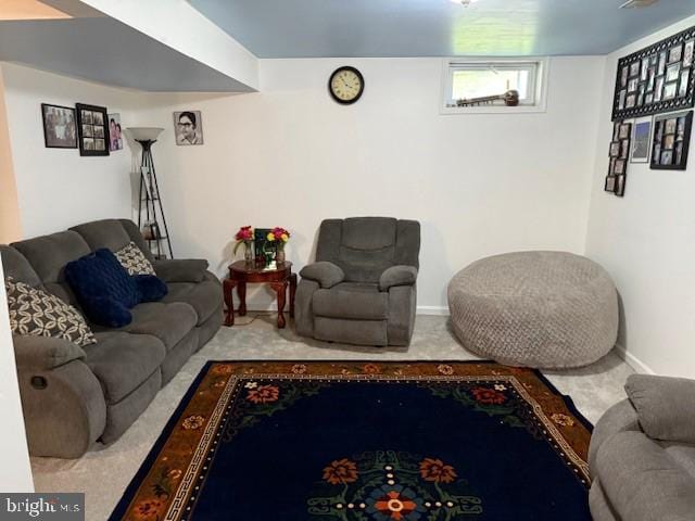 1117 Sterling Pl, Lancaster, PA 17603 - living area featuring carpet floors and baseboards