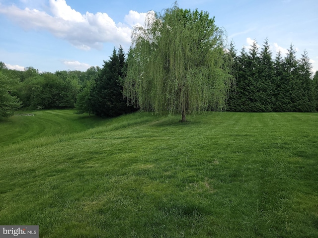 402 Waltham Dr, Middletown, DE 19709 - view of yard with a forest view