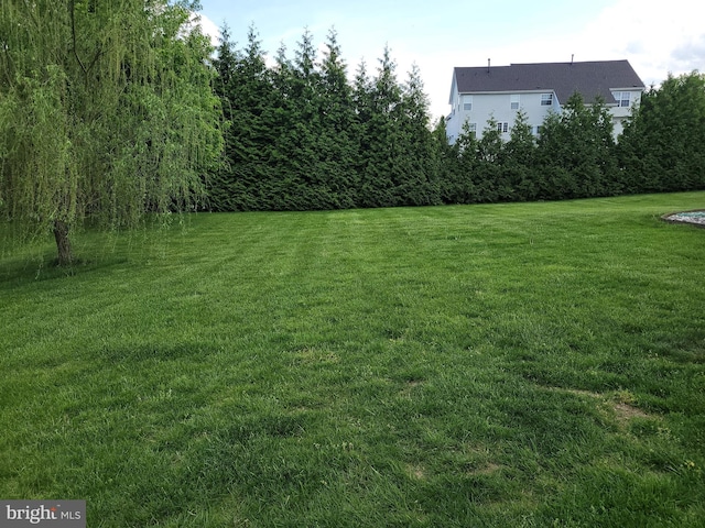 402 Waltham Dr, Middletown, DE 19709 - view of yard