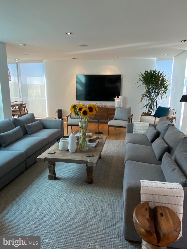 living area featuring plenty of natural light