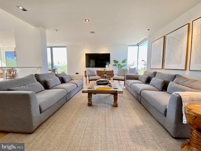 living area with expansive windows
