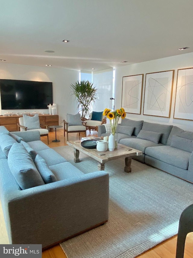 living room featuring light wood finished floors