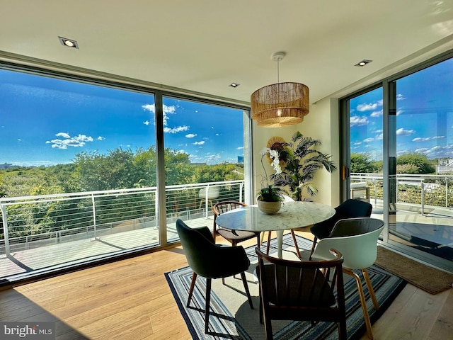 view of sunroom / solarium