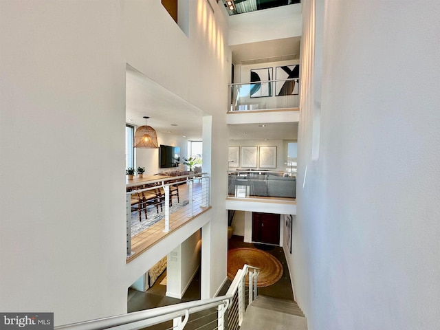 entrance foyer with a towering ceiling