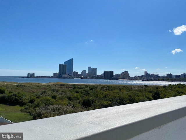 view of water feature with a city view