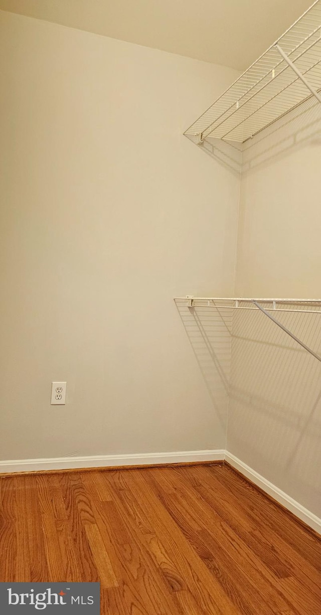 spacious closet featuring wood finished floors