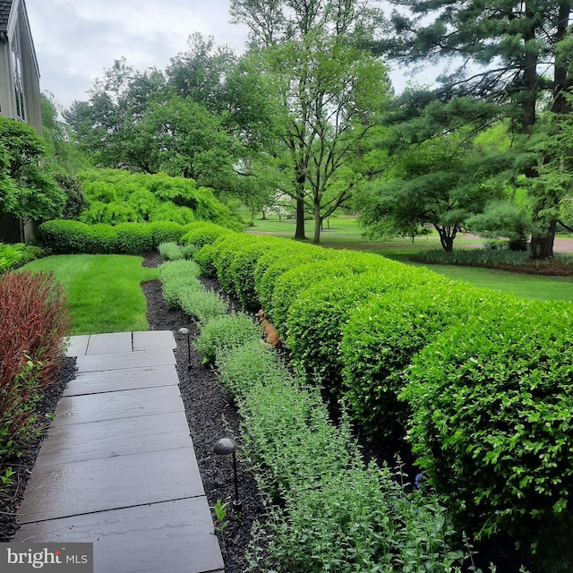 view of green lawn