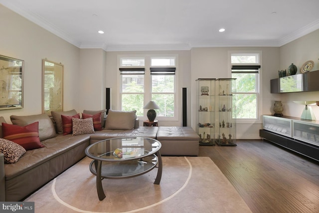 1516 16th Ct N, Arlington, VA 22209 - living room featuring wood finished floors, ornamental molding, recessed lighting, and baseboards